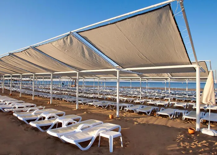 Complex Oz Premium Side